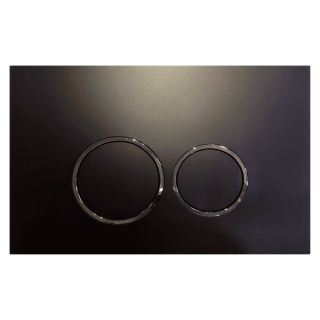 Клавиша смыва Aquanika Basic R-type 01.02.02202 чёрный/хром