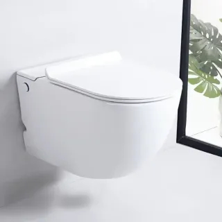 Унитаз подвесной Ceruttispa Barbaria Aria Pulse CT10591 с функцией импульсного смыва белый