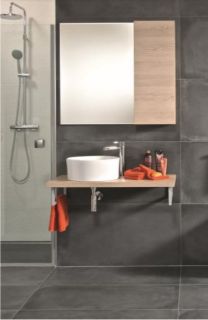 Раковина Roca Mila ???????32700C000 40 см