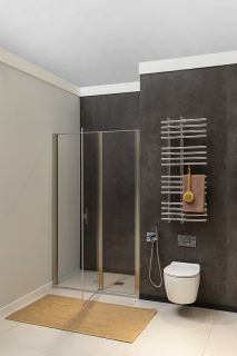 Душевая дверь Allen Brau Priority 140 3.31035.BA профиль Серебро браш