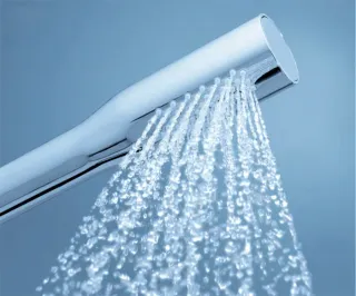 Душевая лейка Hansgrohe Euphoria Cosmopolitan 27400000 хром