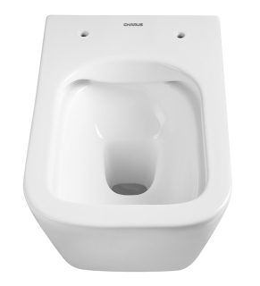 Подвесной унитаз Charus Alva Rimless EWC700-114W безободковый белый