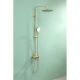 Душевая стойка Raglo R10.24.03 золотой сатин