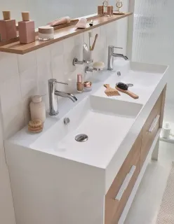 Раковина двойная Jacob Delafon Vivienne EXX112-00 140 см белый