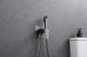 Гигиенический душ со смесителем Raglo R01.52.09 графит