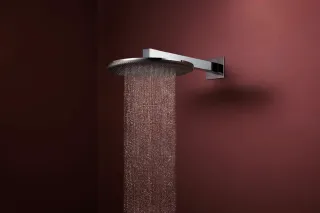 Верхний душ Hansgrohe Raindance Alive S 24540000 хром