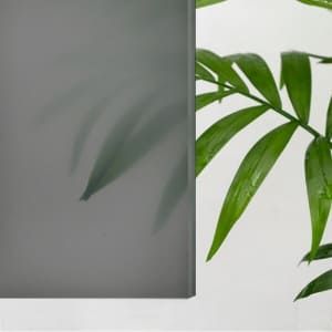 Душевой уголок RGW CL-56 06095688-31 80x80 см хром