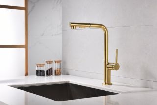 Смеситель для кухни Paulmark Neo Ne214419-SBG светлое брашированное золото