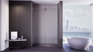 Душевая дверь Veconi Premium Trento PTDW-50GR, 1500x2000, брашированный графит, стекло прозрачное