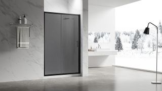 Душевая дверь Veconi Vianno VN-55BT, 1500x1950, Черный, стекло тонированное